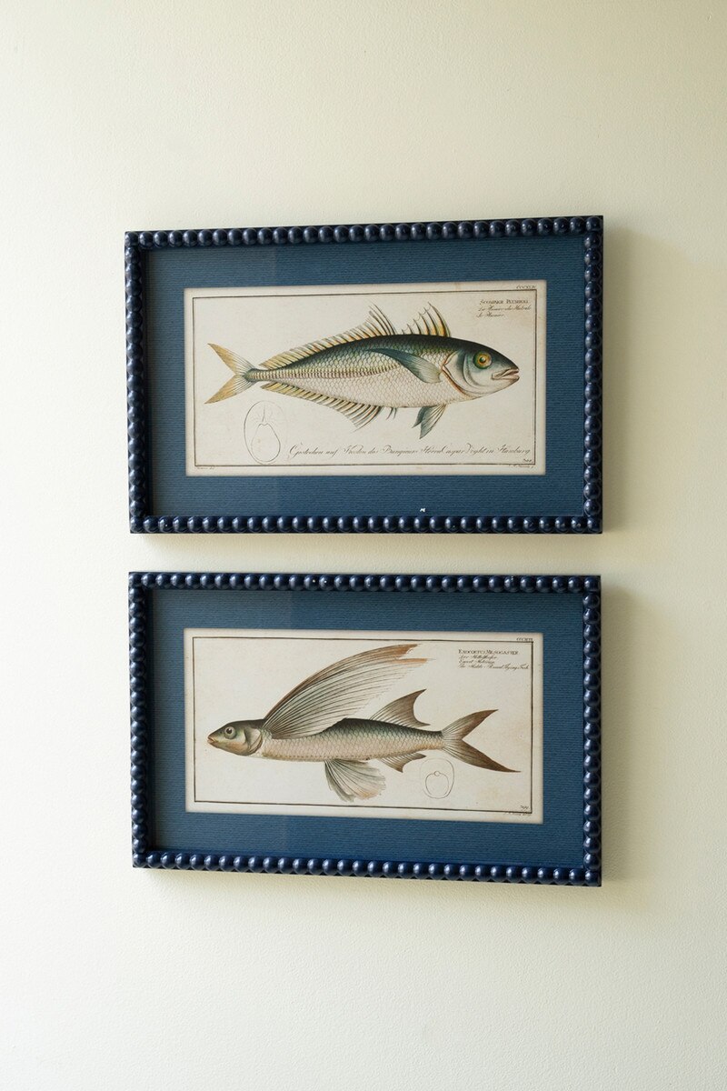 Set of 2 Navy Framed Fish Prints under Glass