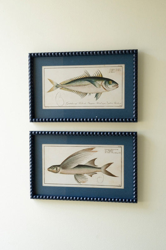 Set of 2 Navy Framed Fish Prints under Glass