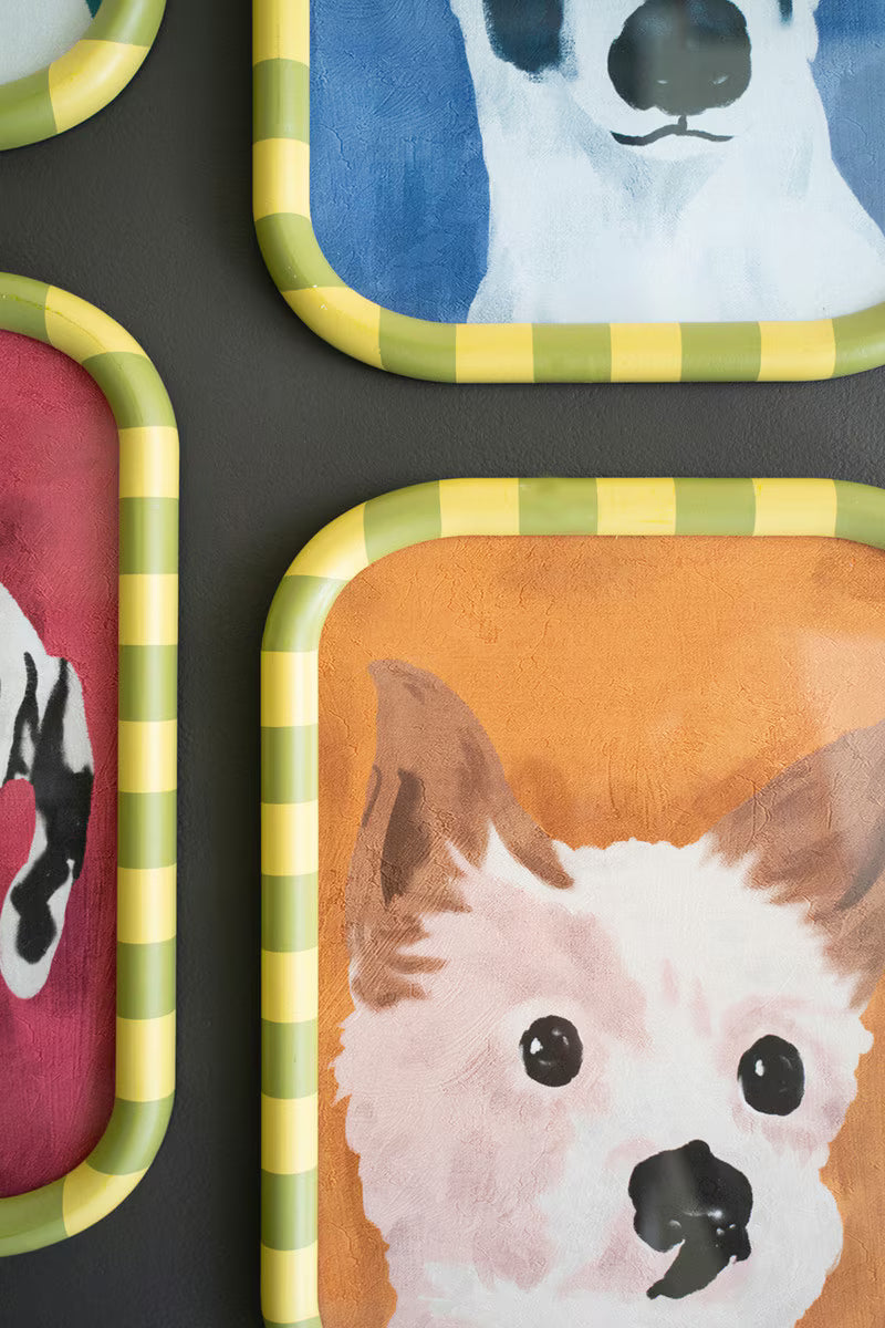 Set of 4 Framed Dog Prints under Glass