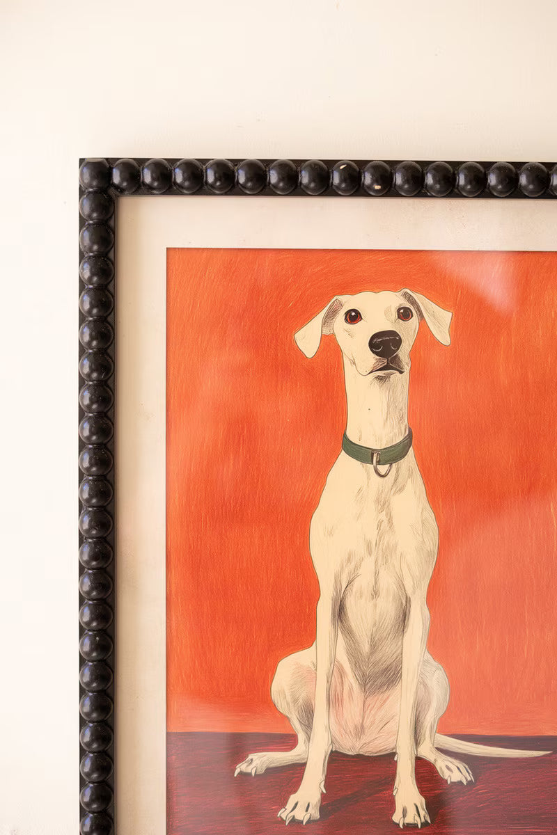 Set of 4 Framed Hound Prints under Glass