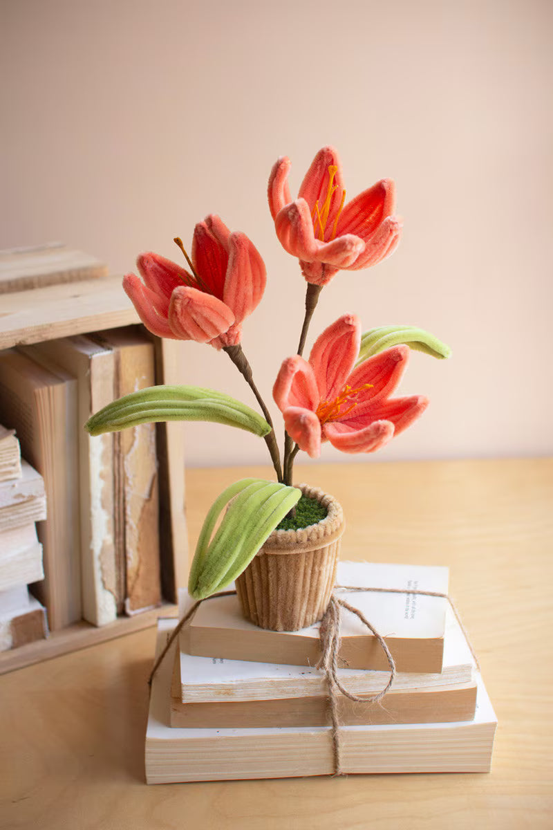 Set of 4 Pipe Cleaner Potted Flowers