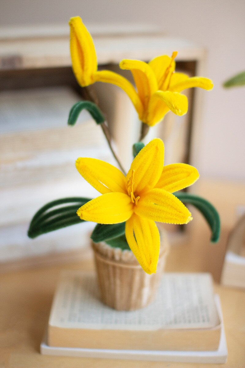 Set of 4 Pipe Cleaner Potted Flowers