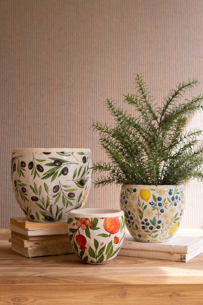 Set of 3 Cement Planters with Olives, Lemons, and Pomegranates