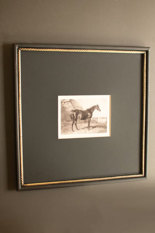 Set of 2 Framed Black and White Horse Prints Under Glass