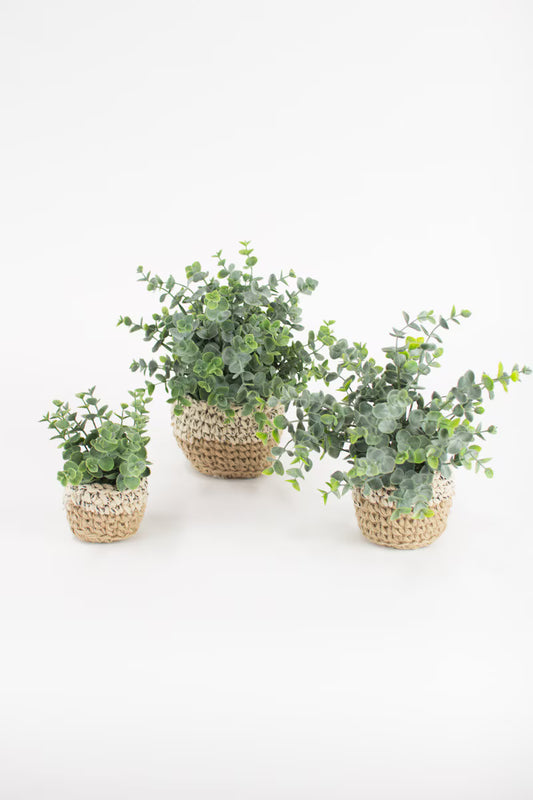 Set of 3 Artificial Eucalyptus Plants In Woven Pots
