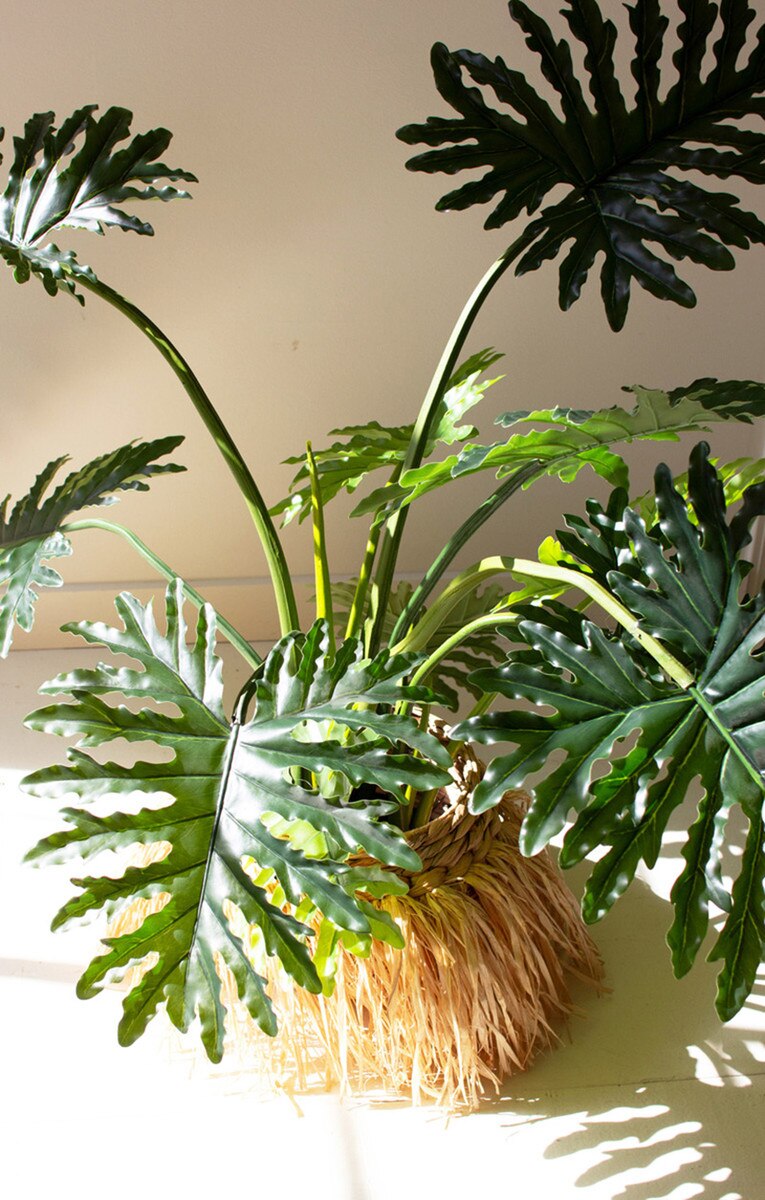 Artificial Philodendron in a Black Plastic Pot