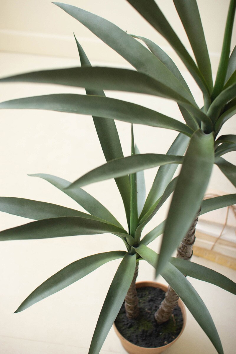Artificial Heneken Plant with Faux Terracotta Pot