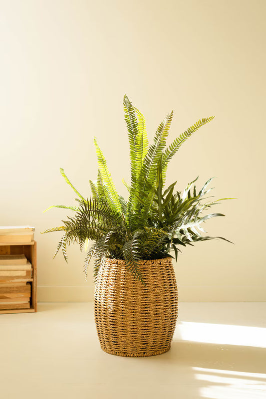 Artificial Mixed Ferns in Black Plastic Pot