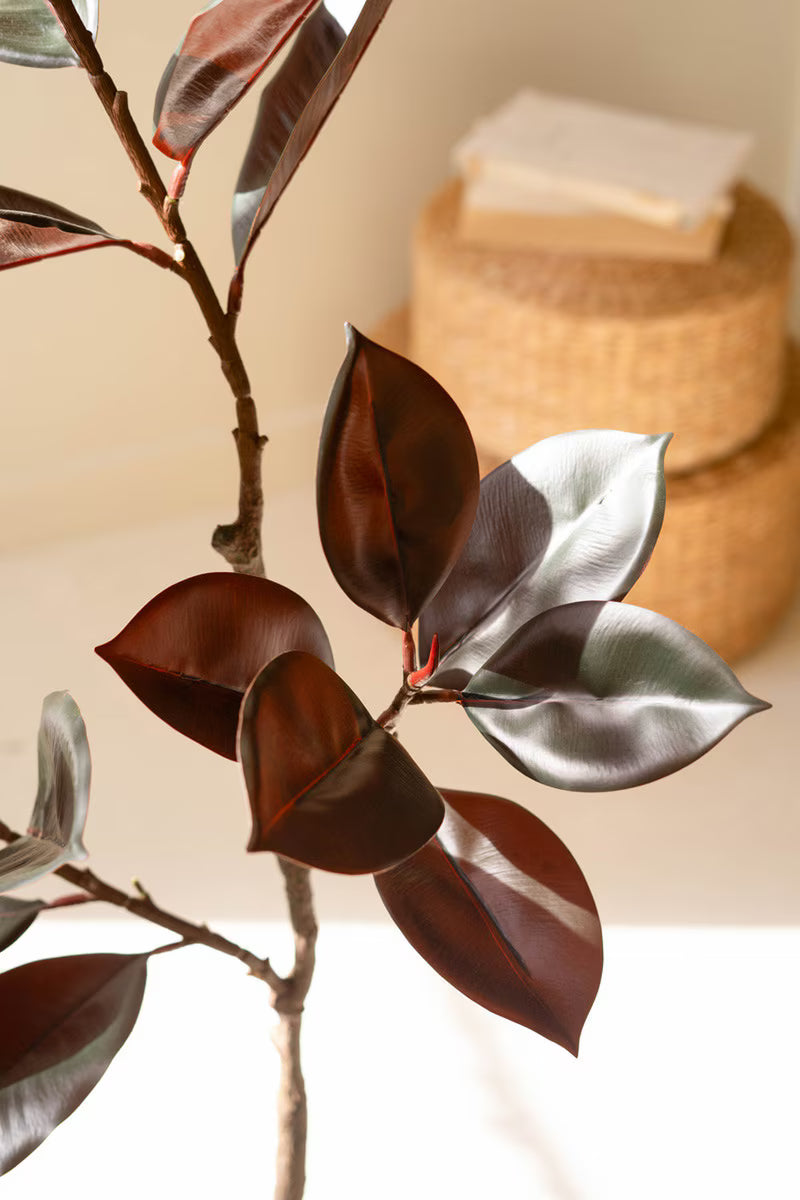 Artificial Rubber Tree with Black Plastic Pot
