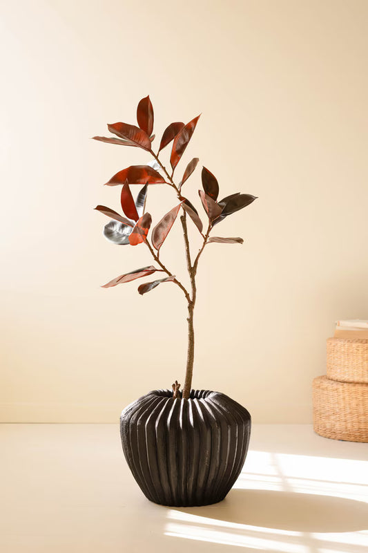 Artificial Rubber Tree with Black Plastic Pot