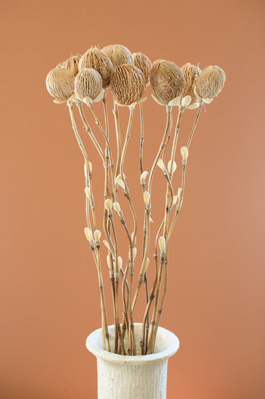 Set of 12 Dried Cornhusk and Natural Pods on a Bamboo Stem