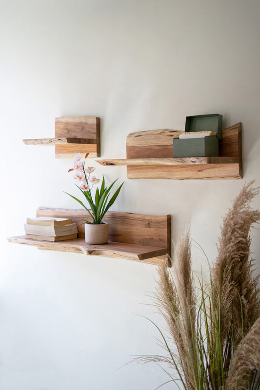 Set of 3 Live-Edge Acacia Wood Floating Shelves