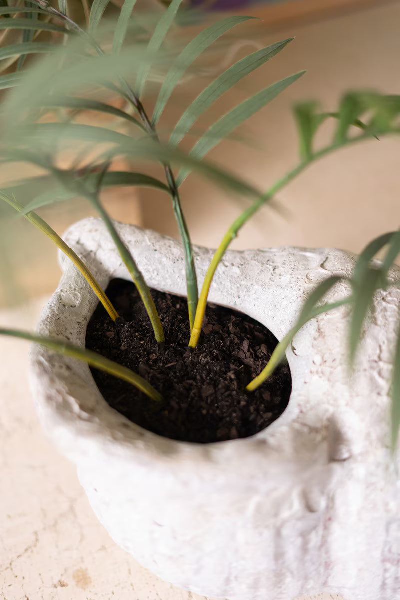 Clay Conch Shell Planter with White Glaze