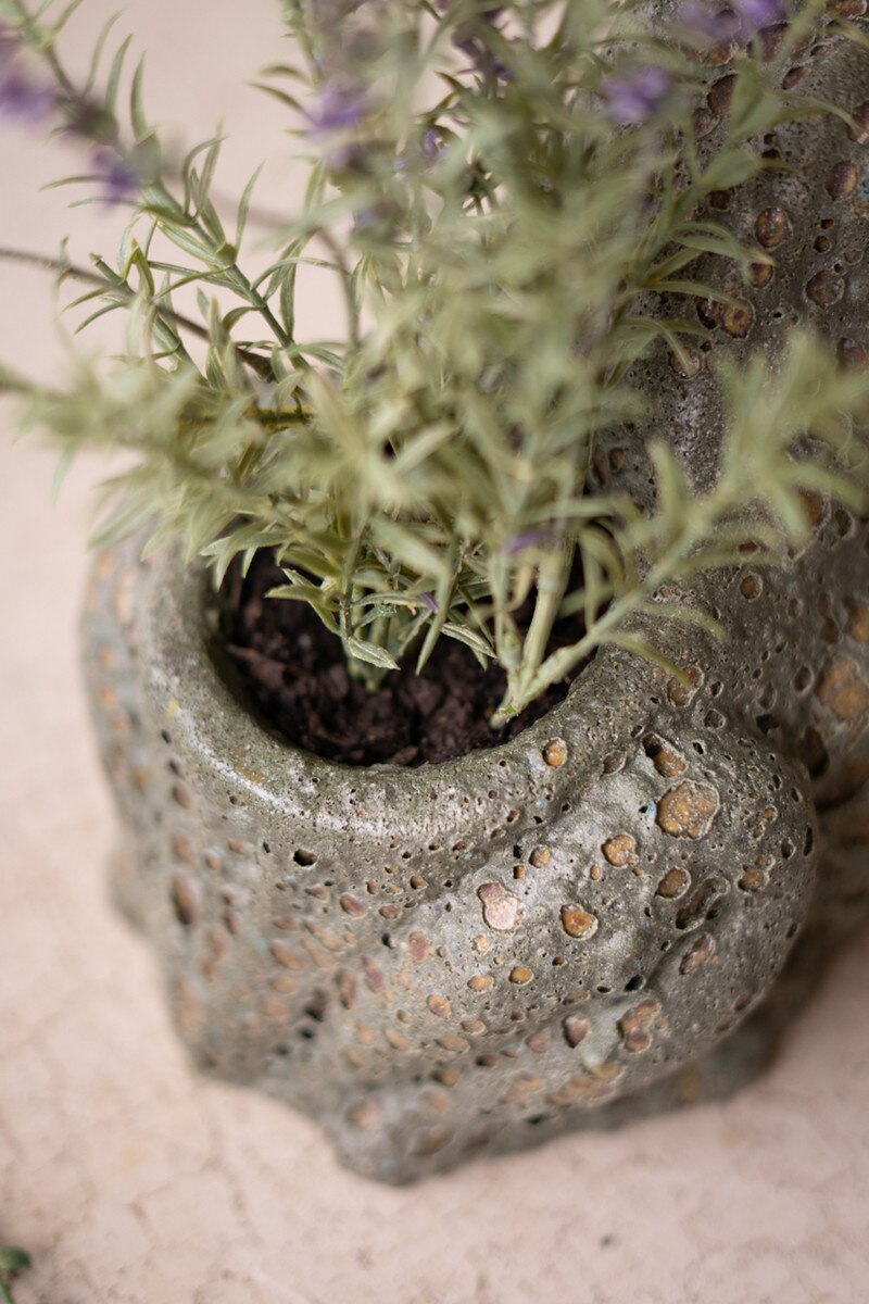 Terracotta Frog Planter with Rustic Glaze