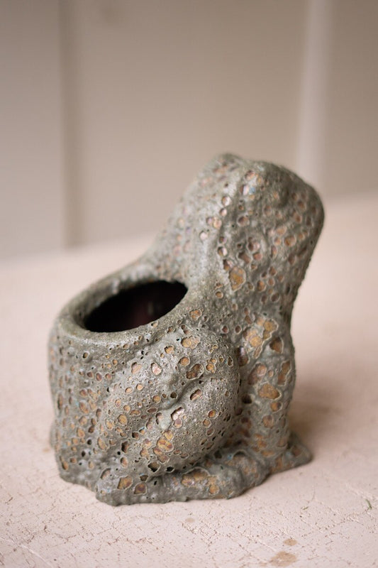 Terracotta Frog Planter with Rustic Glaze