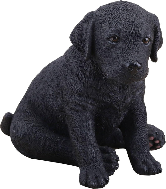 Black Labrador Retriever Puppy Sitting