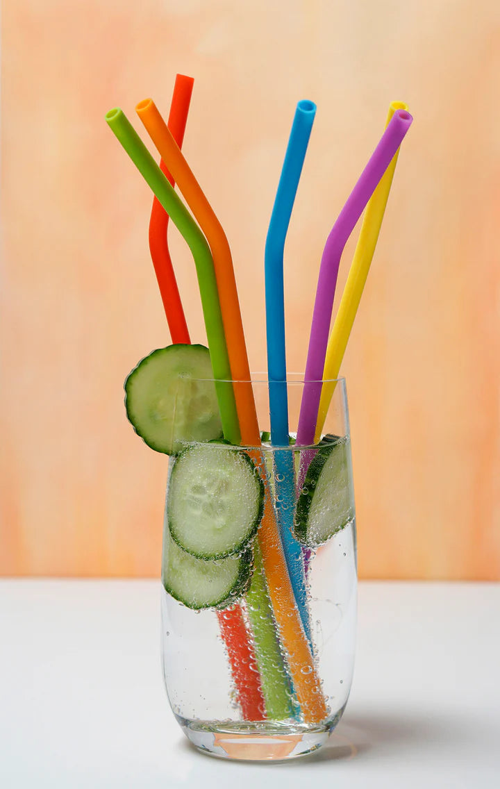 10 In Silicone Straw Set Of 6