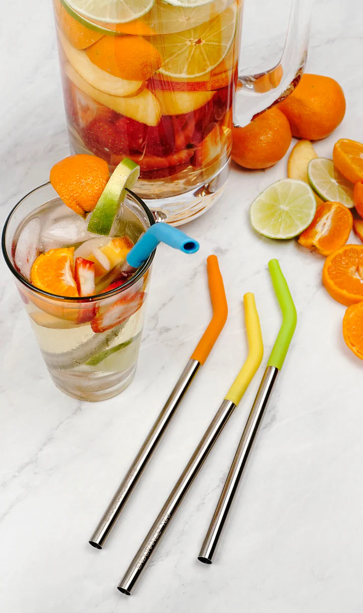 9 In Silicone Tip Straw + Brush Set (4+1)