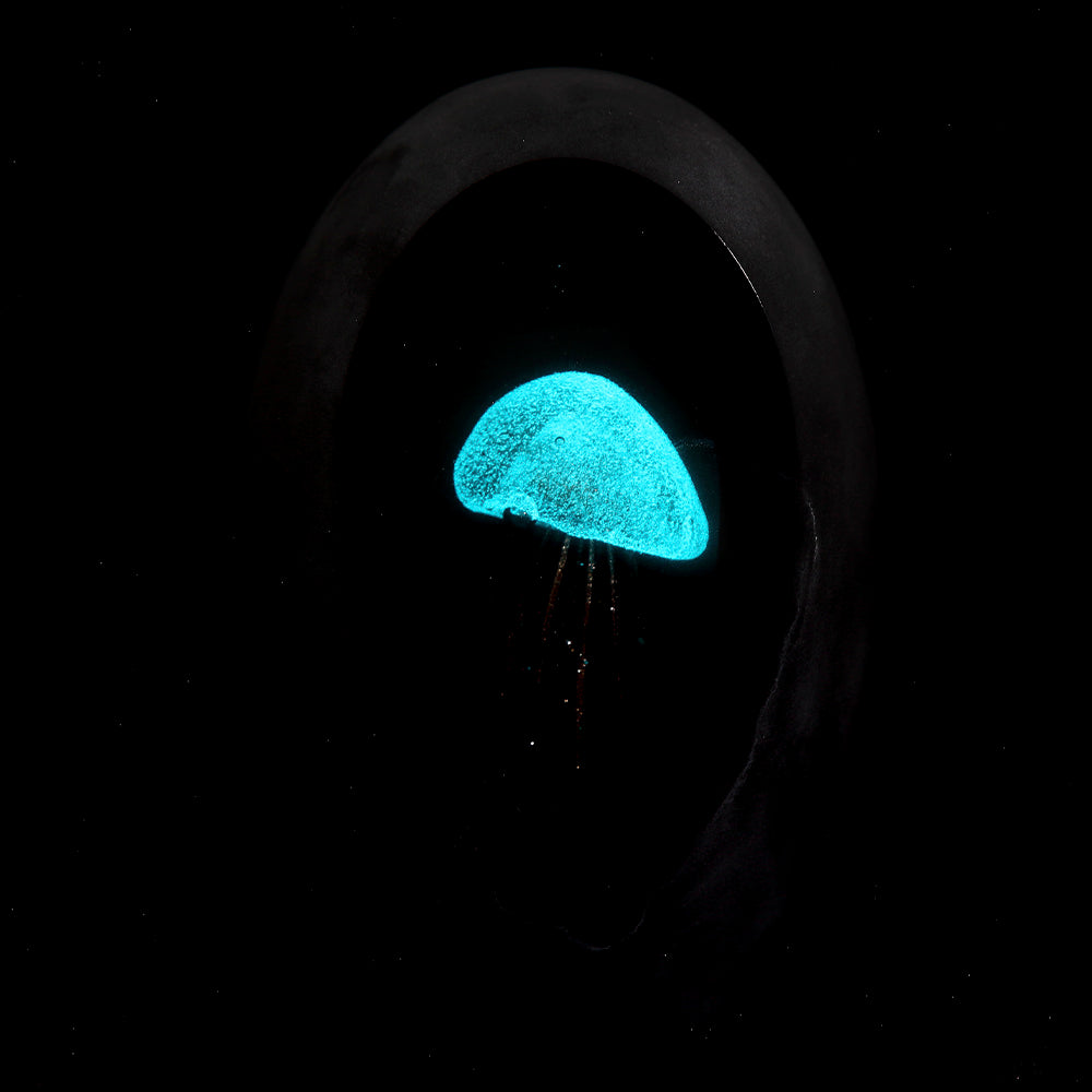 Art Glass Gold Jellyfish With Black Background