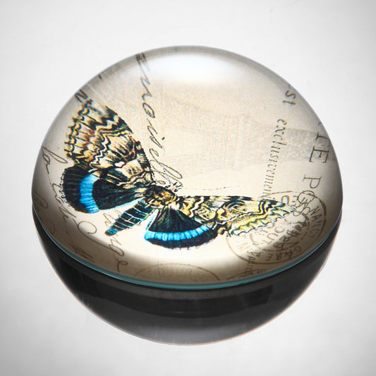 Art Glass Blue And Yellow Butterfly Paperweight