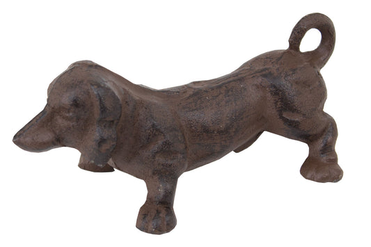 Dachshund