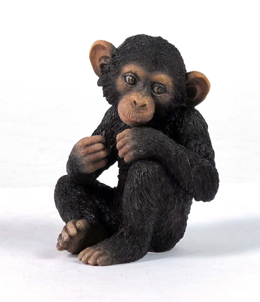 Baby Chimpanzee