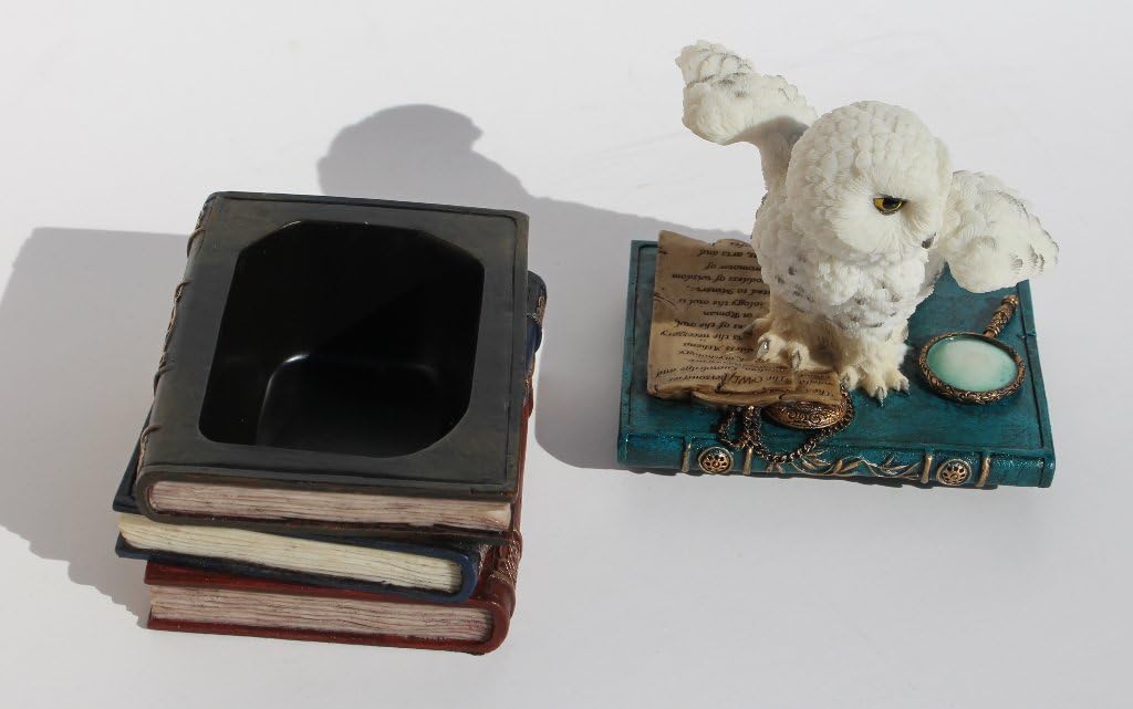 Snow Owl Flap Wings On Books Trinket Box