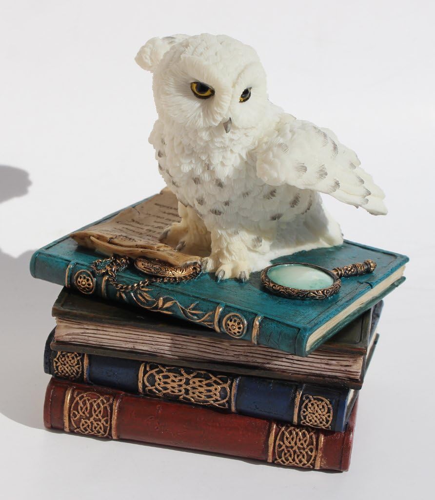Snow Owl Flap Wings On Books Trinket Box