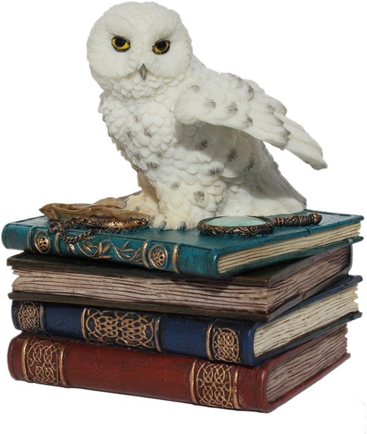 Snow Owl Flap Wings On Books Trinket Box