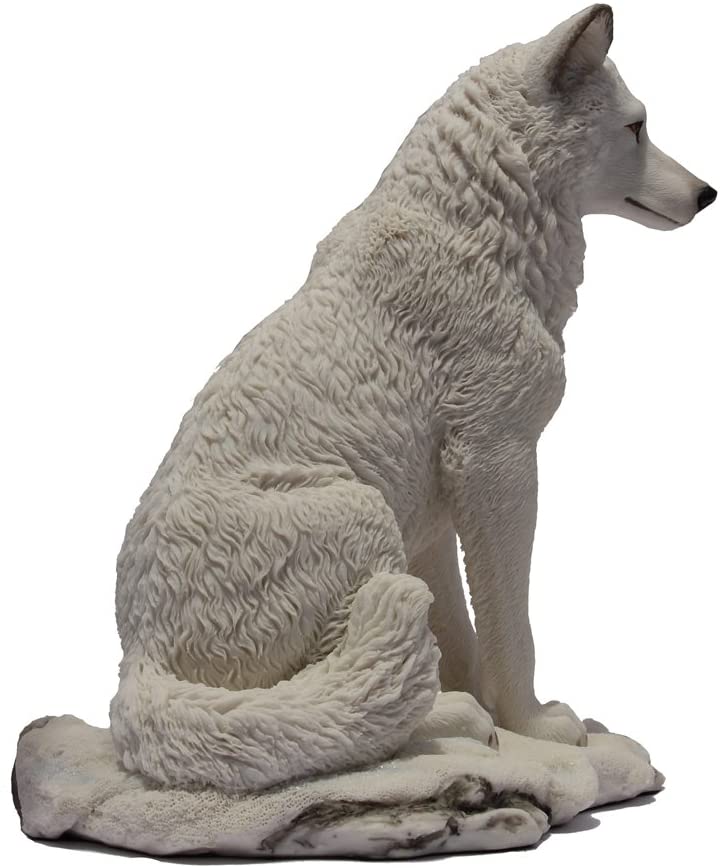 White Wolf Sitting In Snow