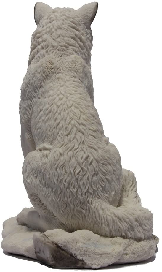 White Wolf Sitting In Snow