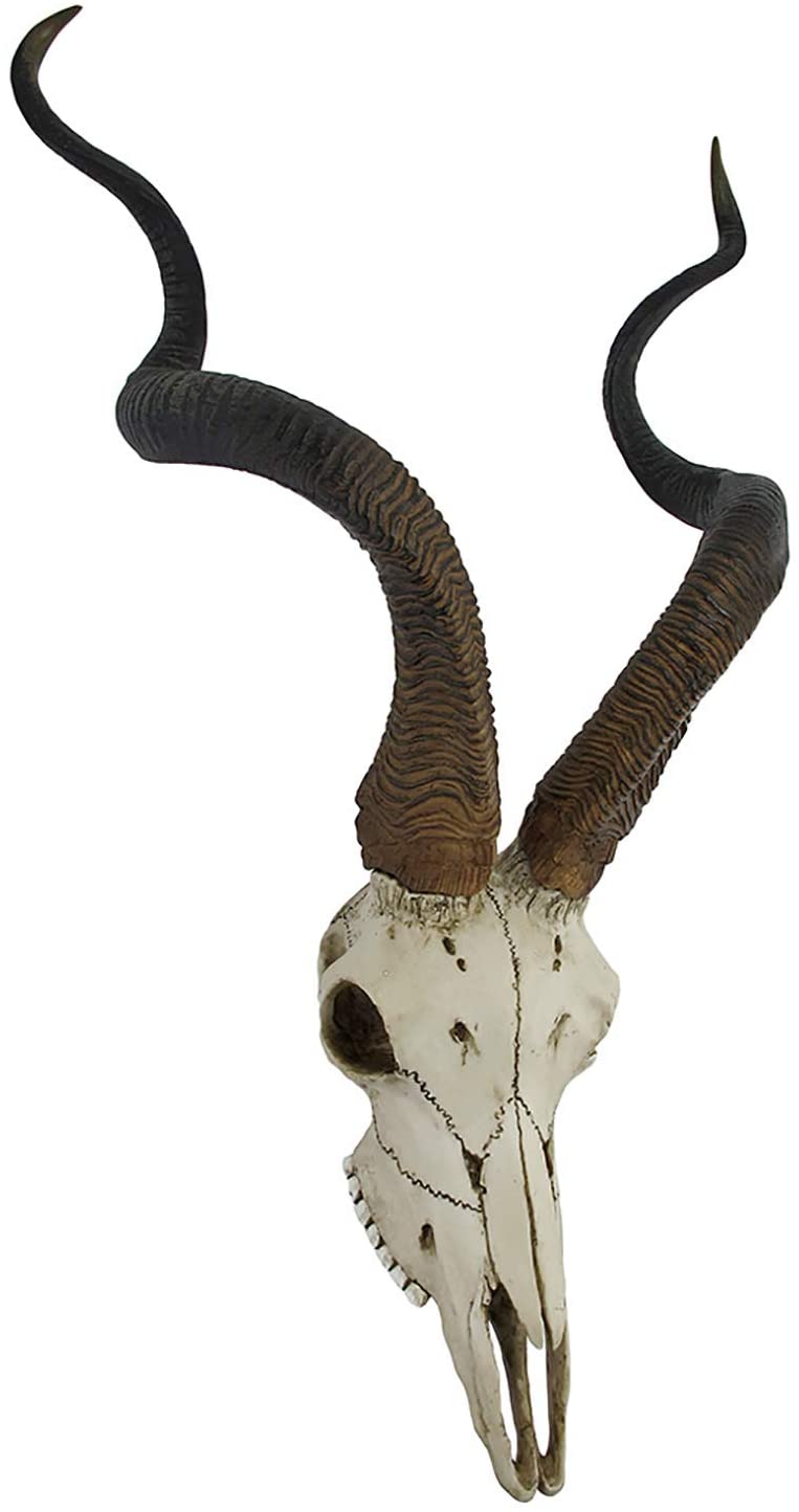 Kudu Skull Wall Plaque