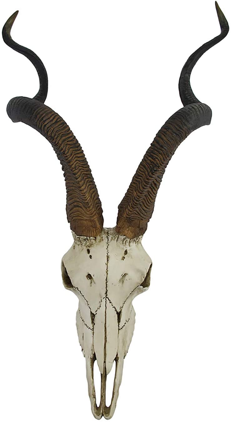 Kudu Skull Wall Plaque