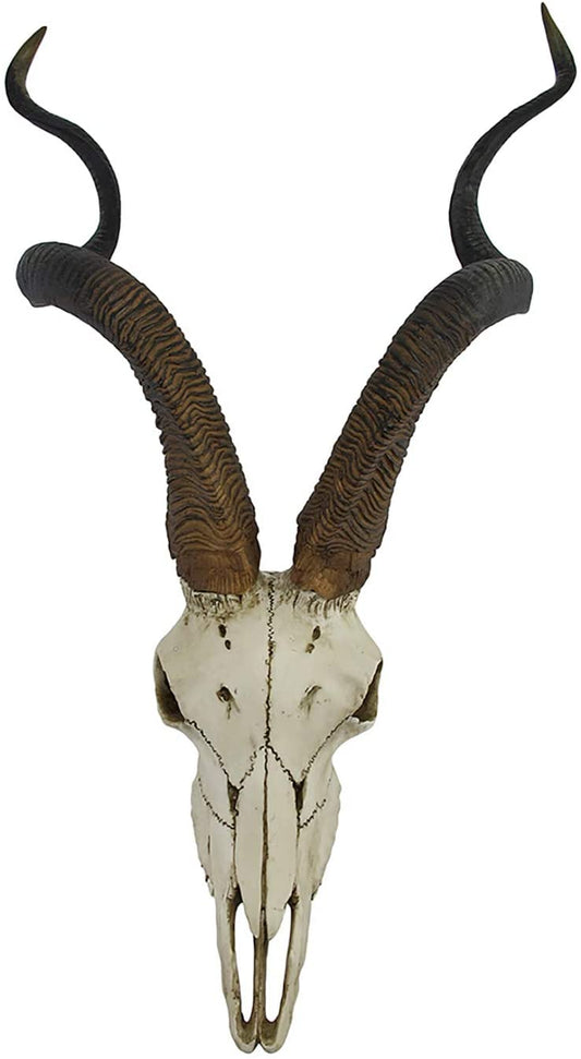 Kudu Skull Wall Plaque