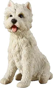 West Highland White Terrier Sitting