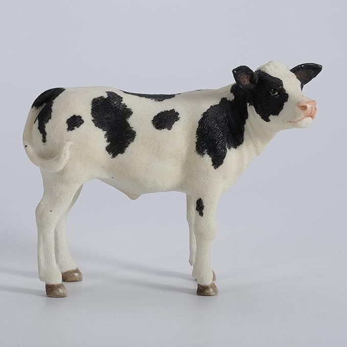 Holstein Calf