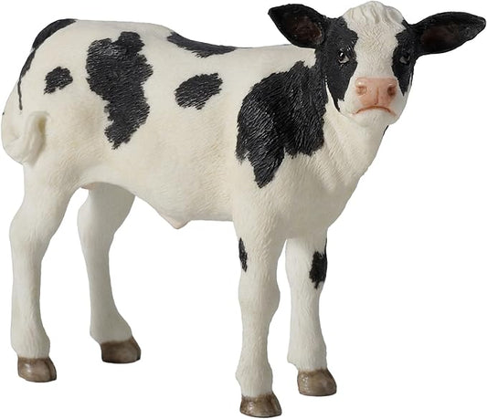 Holstein Calf