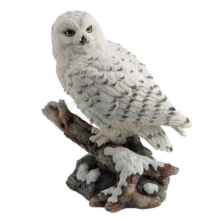 Snow Owl Perching On Branch
