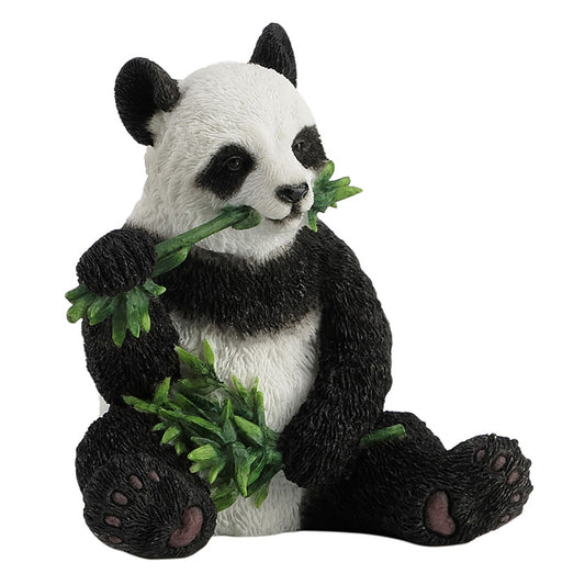 Panda Sitting And Eating Bamboo