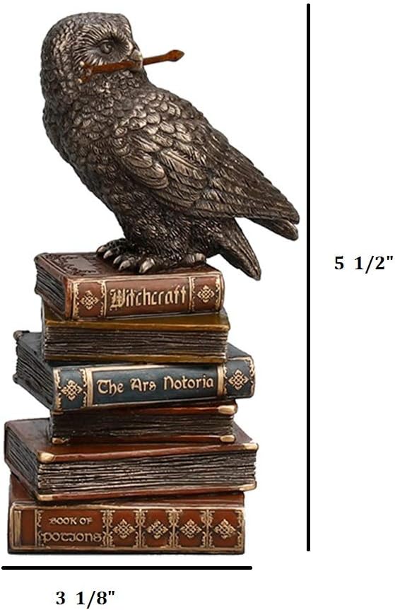 Magic Wand Snowy Owl On Book Stack