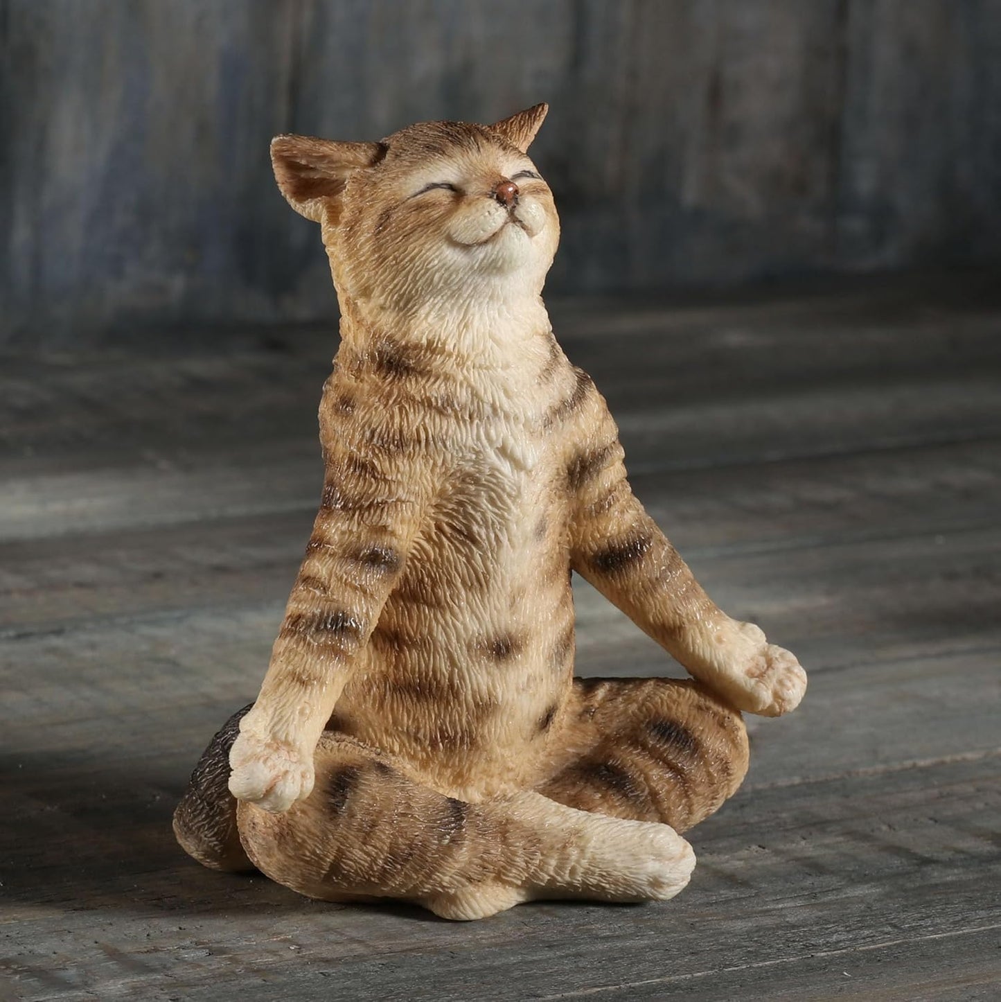 Brown Tabby Yoga Cat Lotus Pose