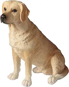 Sitting Labrador Retriever