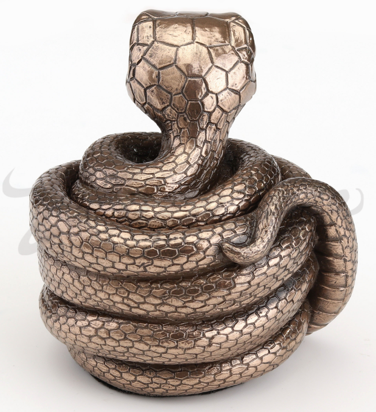 Coiling Snake Secret Trinket Stash