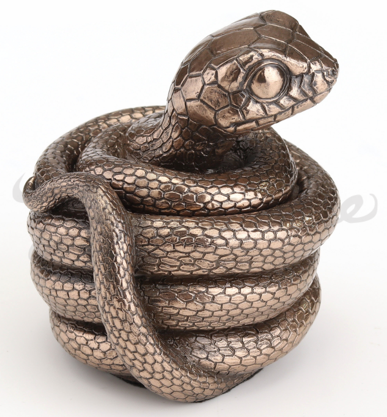 Coiling Snake Secret Trinket Stash