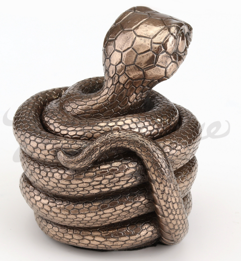 Coiling Snake Secret Trinket Stash