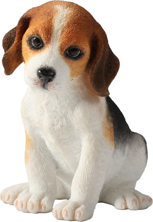 Beagle Puppy Sitting