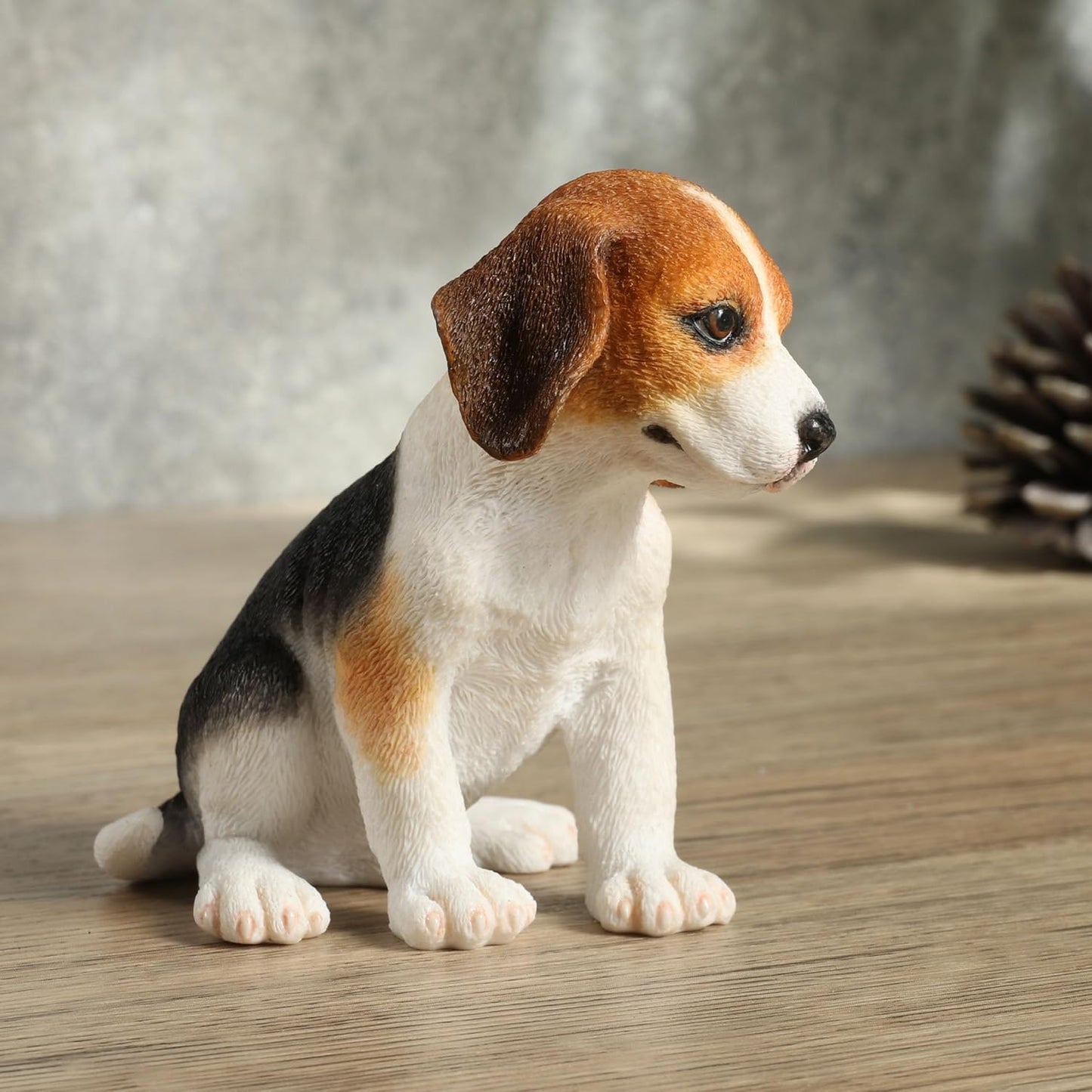 Beagle Puppy Sitting