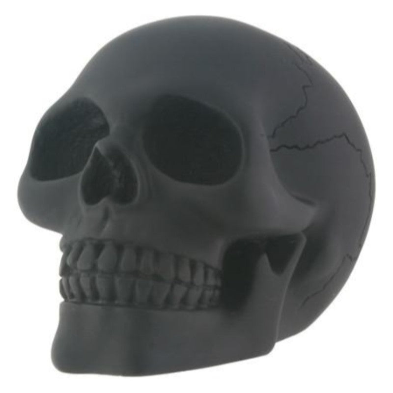 Black Skull Head Collectible Skeleton Figurine