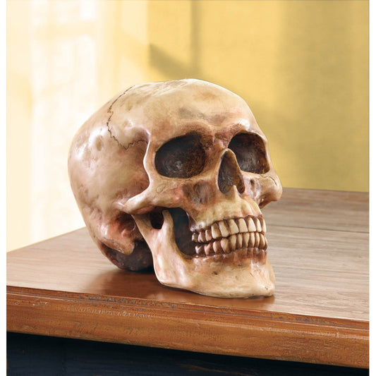 Grinning Resin Human Skull Spooky Halloween Party Decor Prop Statue Sculpture