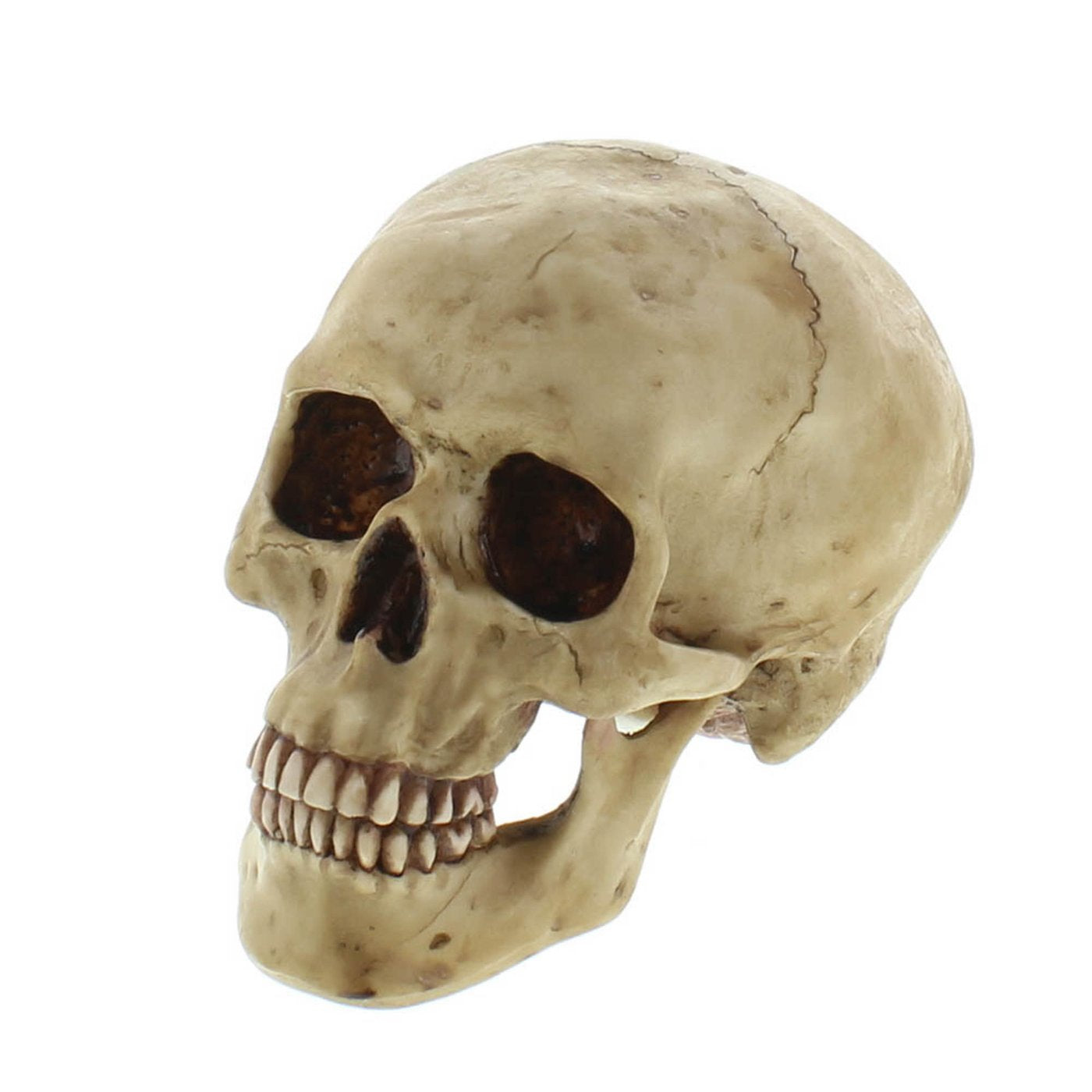 Grinning Resin Human Skull Spooky Halloween Party Decor Prop Statue Sculpture